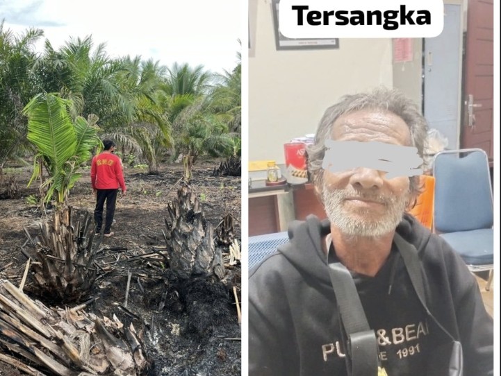 Tersangka Karhutla, kakek 73 tahun di Teluk Meranti ditangkap Polres Pelalawan (foto/Andy)